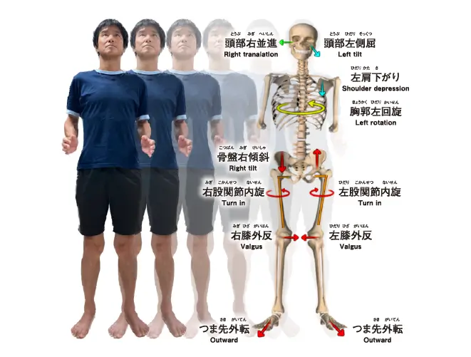 手のひらの中に3D姿勢解析とトップトレーナーを